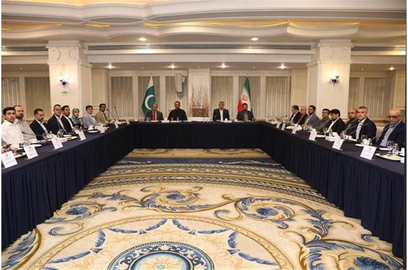 دیدار-وزیر-دولت-پاکستان-در-امور-ارتباطات-و-فناوری-اطلاعات-با-وزیر-ارتباطات-و-فناوری-اطلاعات-کشور-و-فعالان-این-حوزه