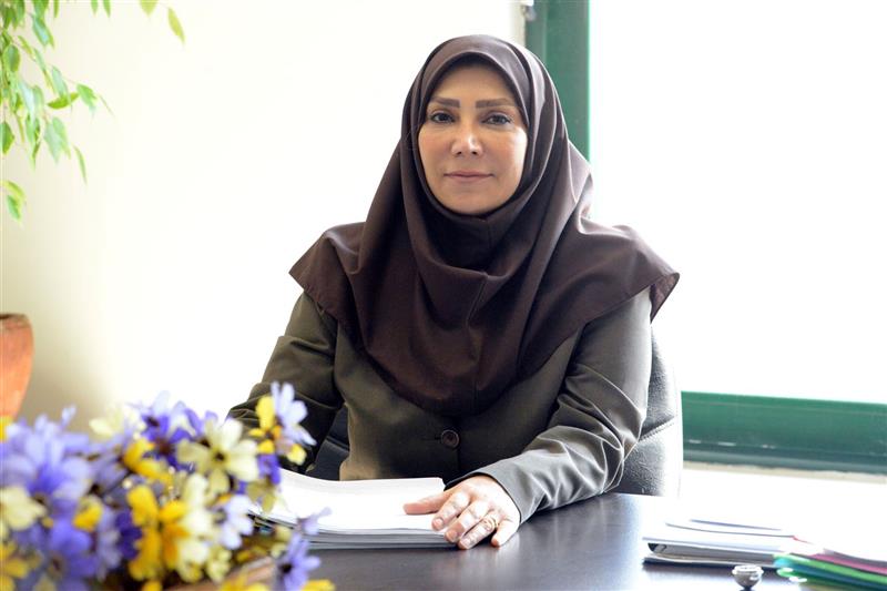افزایش-خدمات-الکترونیک-سازمان-فناوری-اطلاعات-به-52-خدمت